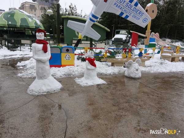neige wds janvier 2013