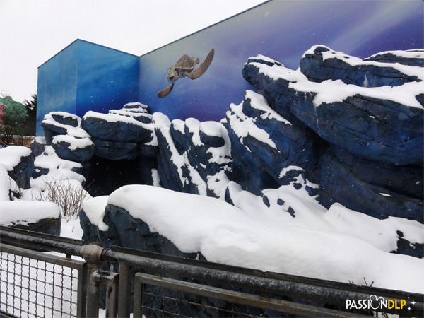 neige wds janvier 2013