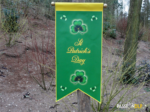 st patrick 2013