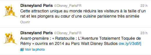ratatouille