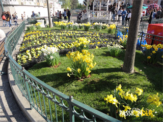 festival de printemps