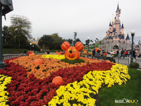 halloween 2014
