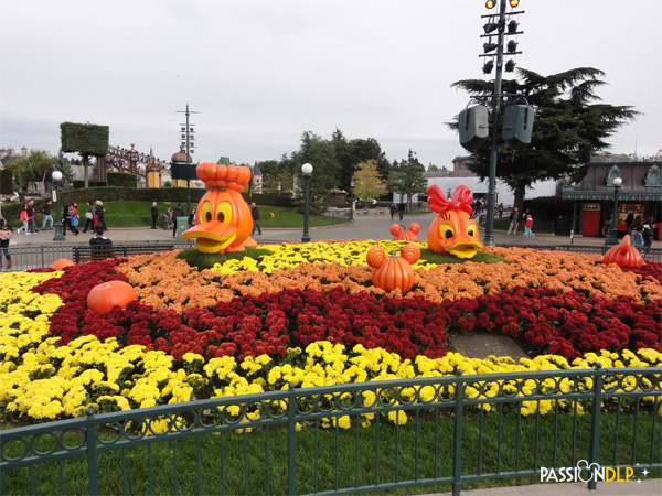 halloween 2014