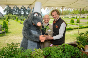 potager de rémy