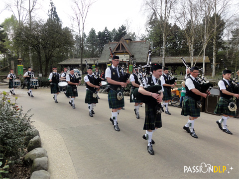 animation st patrick