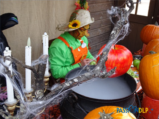 potiron man