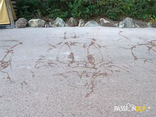 artiste noel 2015