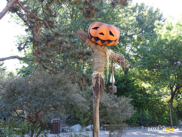 diaporama halloween 2016