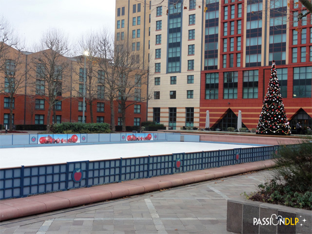 patinoire nyh