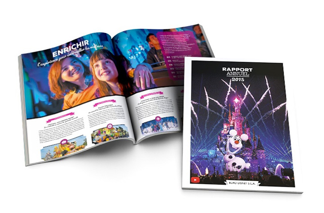 rapport annuel 2015