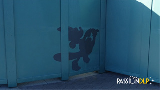 fantasia gardens