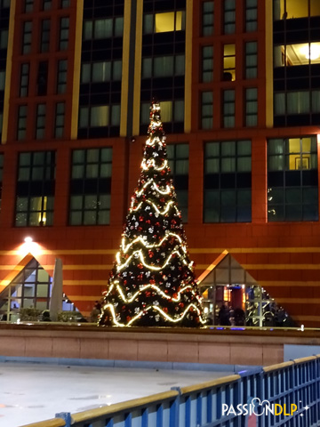 sapin nyh