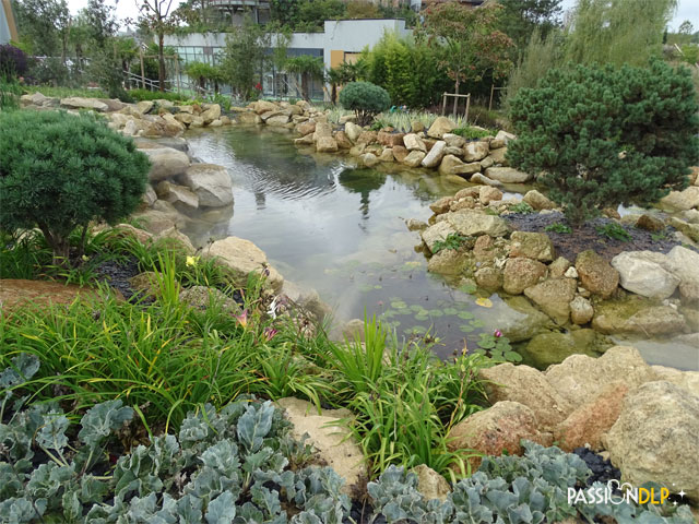 villages nature