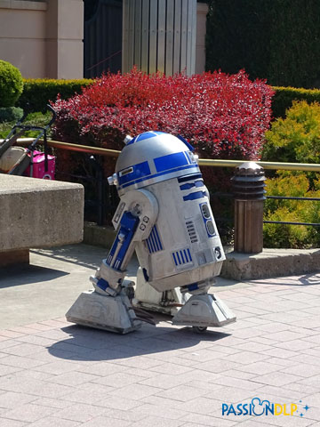 star wars day