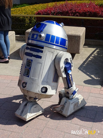star wars day