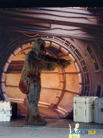 star wars day
