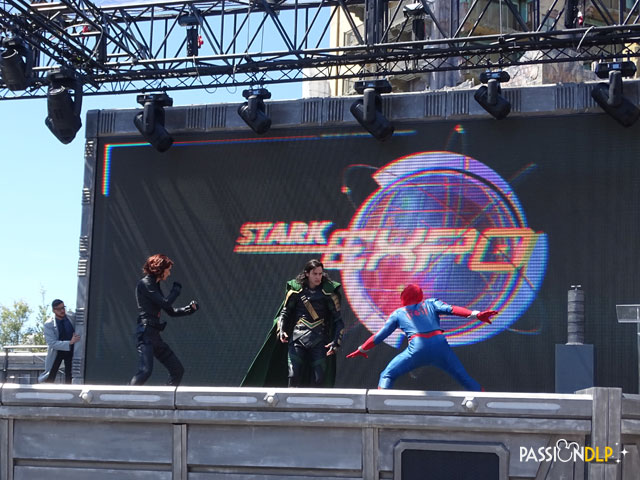stark expo