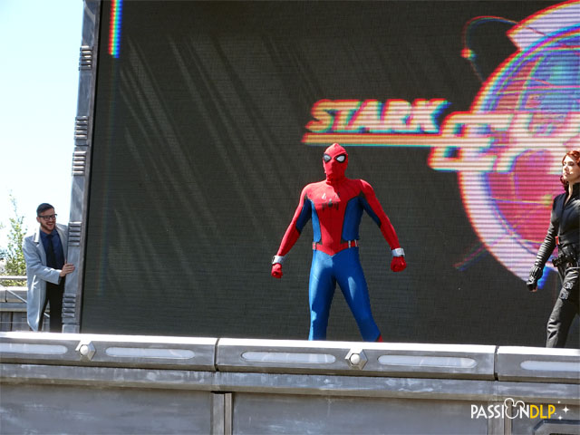 stark expo