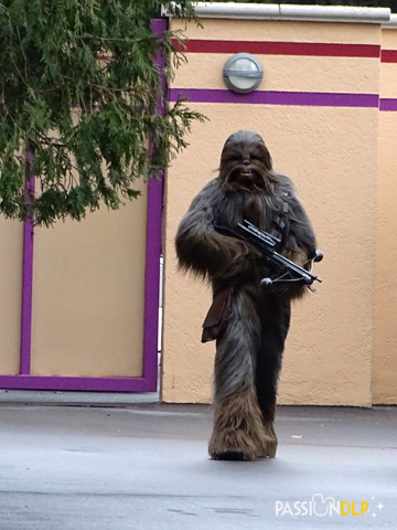 chewbacca