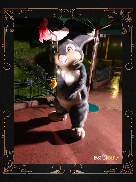 disneyland park celebrations