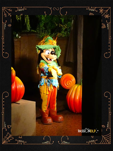 disneyland park celebrations