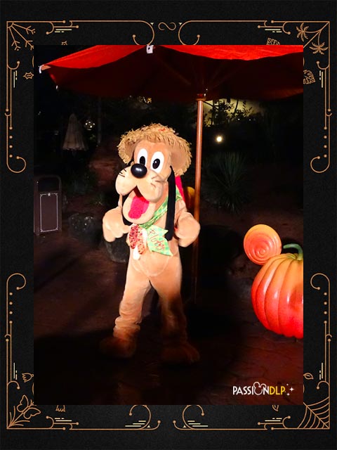 disneyland park celebrations