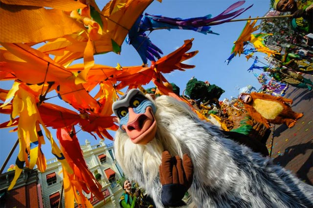 festival roi lion