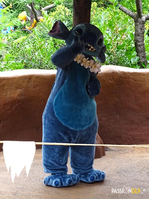 stitch