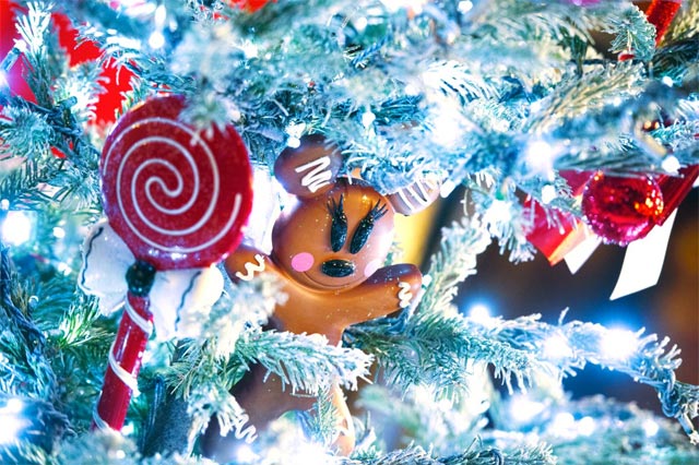 noël 19
