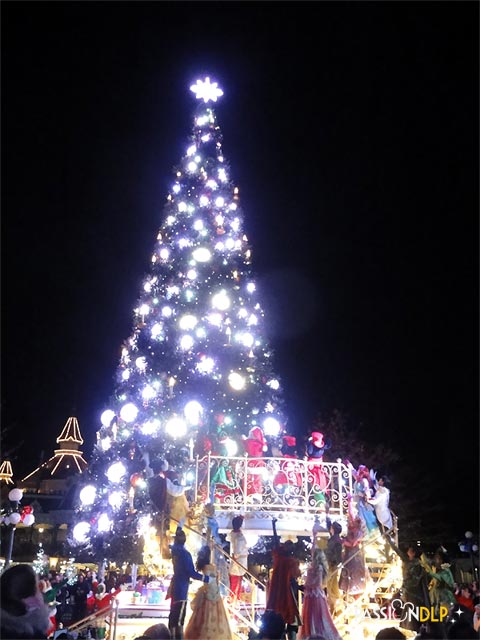 illumination du sapin de noël