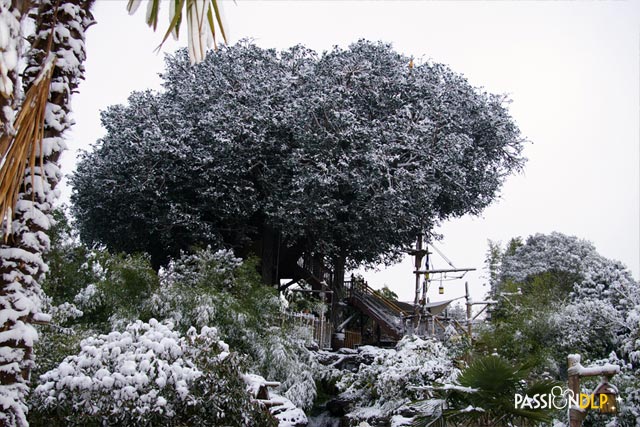 noël 2010