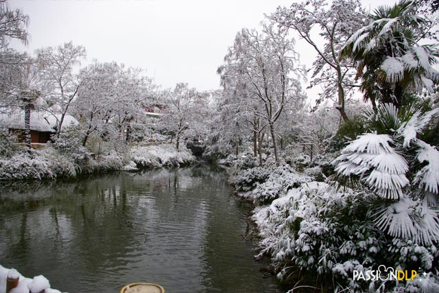 noël 2010