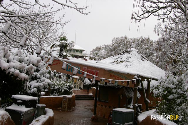 noël 2010