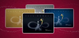 pass annuel