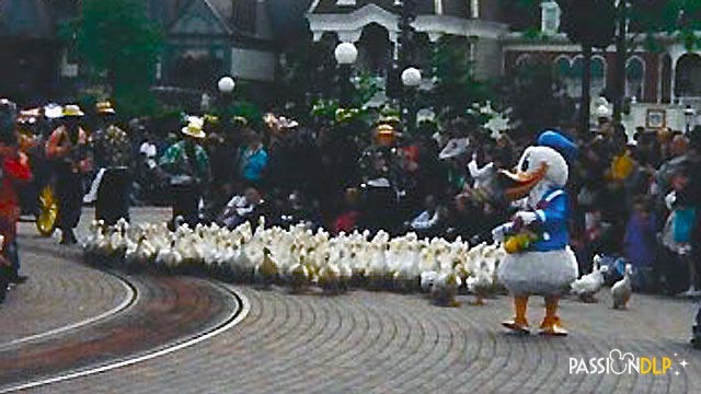donald et ses canards