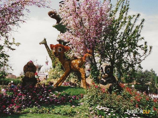 festival des fleurs