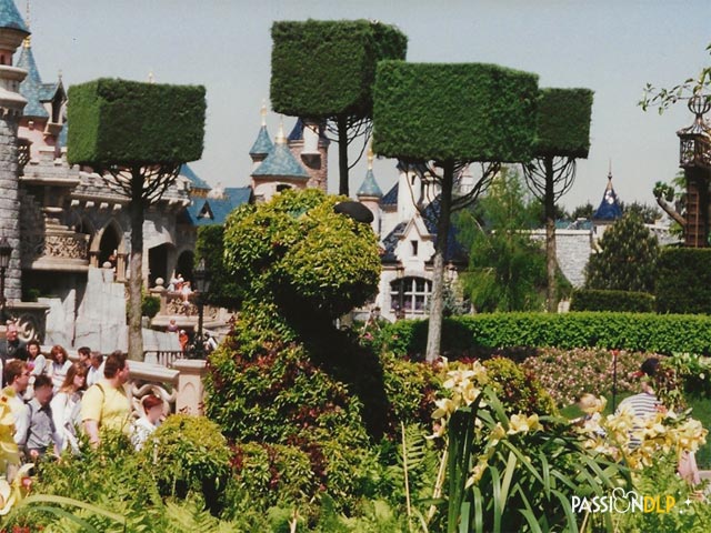 festival des fleurs