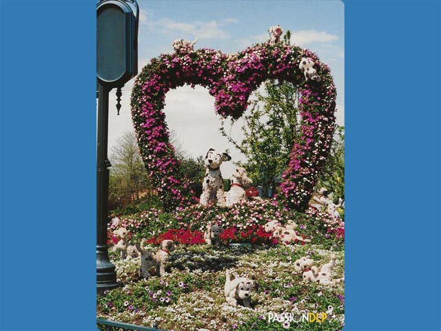 festival des fleurs