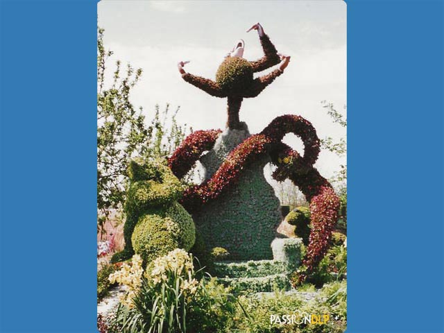 festival des fleurs