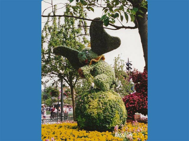 festival des fleurs