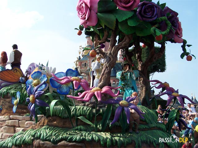 parade 15 ans