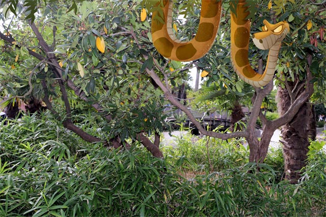 kaa à adventureland