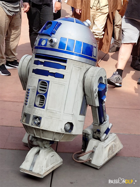 journée Star Wars