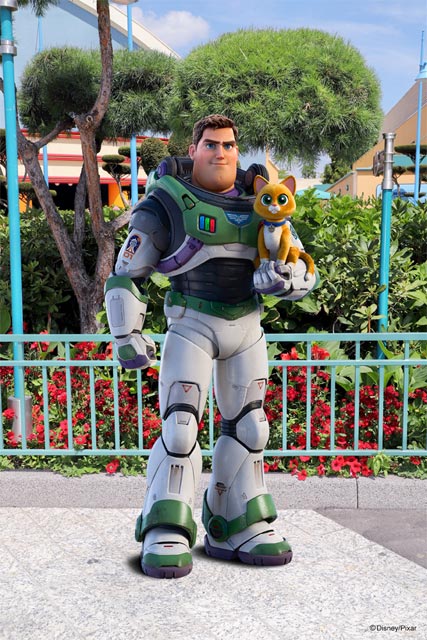 buzz