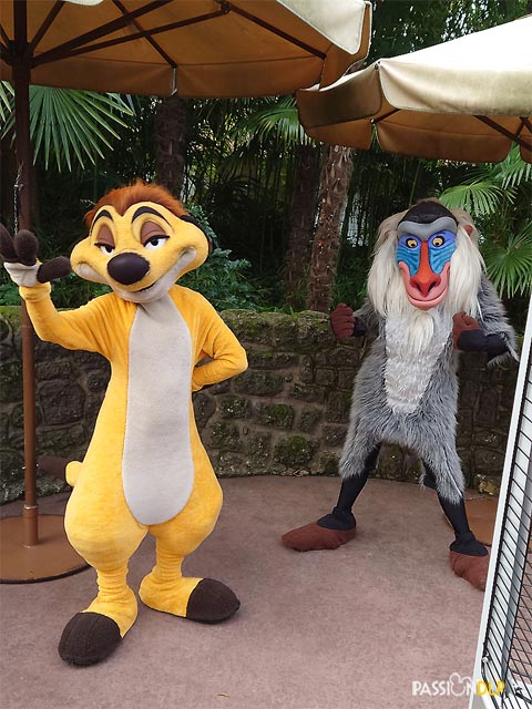 timon et rafiki