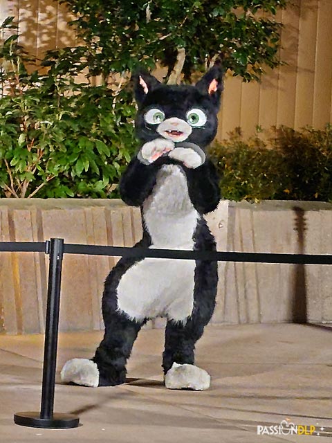 Rencontre avec les Personnages Disney