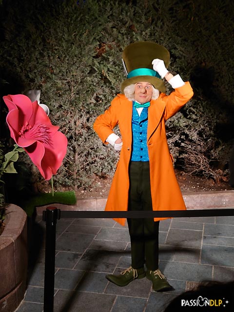Rencontre avec les Personnages Disney