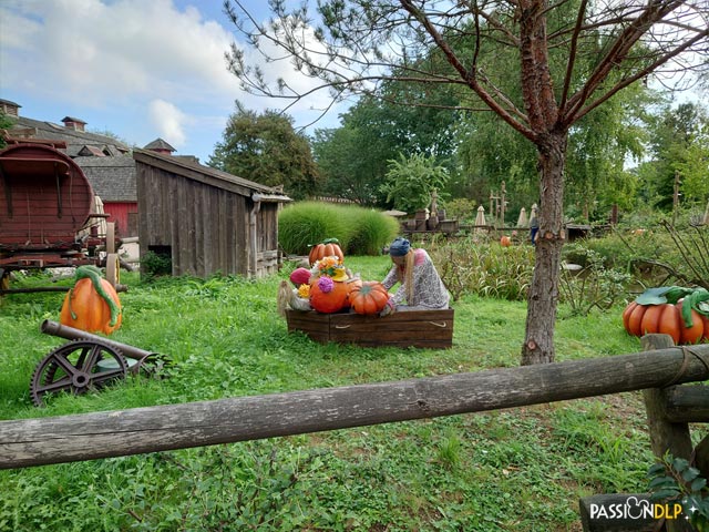 décor halloween frontierland