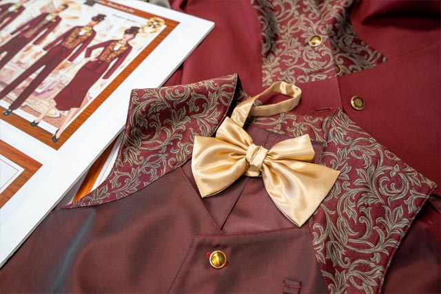 costumes dlh
