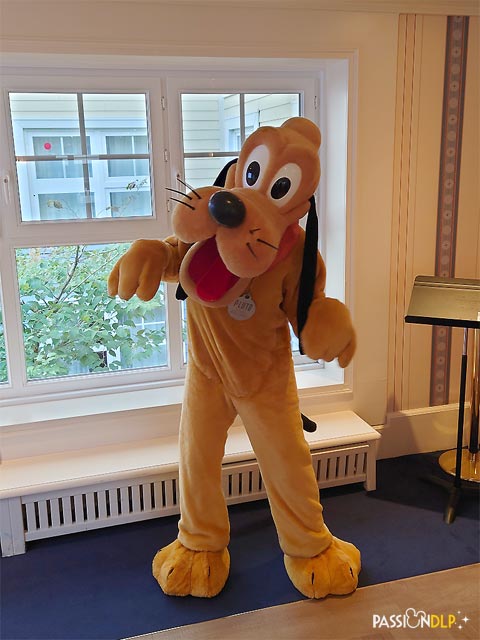 pluto au newport